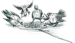 Александр КУКУШКИН